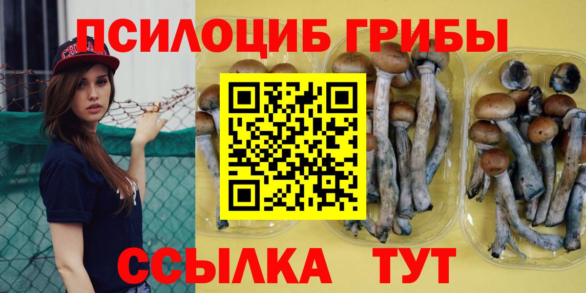 Фрязино  цены наркотик  Вход с VPN  Псилоцибиновые грибы Magic Shrooms 